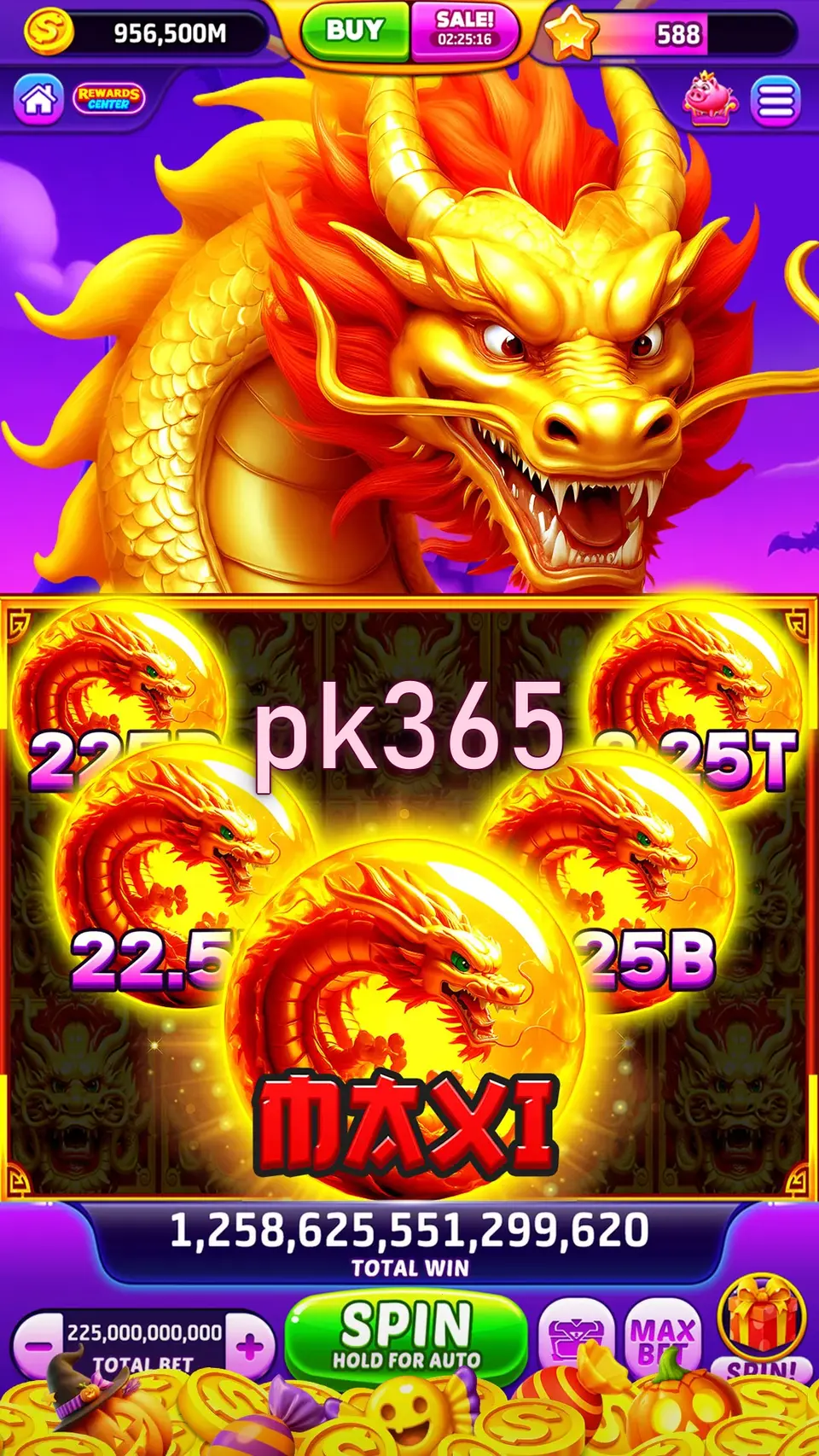 pk365 লগইন